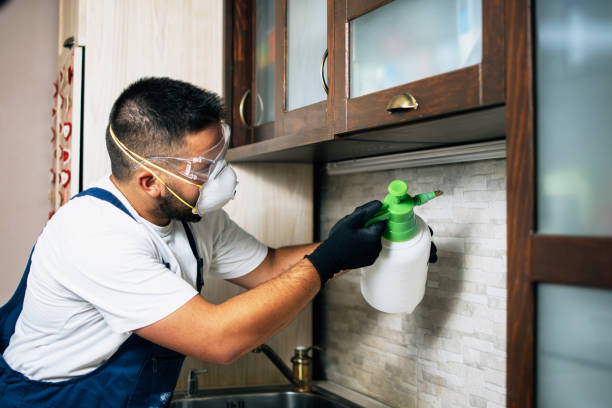 Best Pest Prevention Services  in Rural Hill, TN
