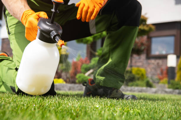 Best Pest Control Near Me in Rural Hill, TN