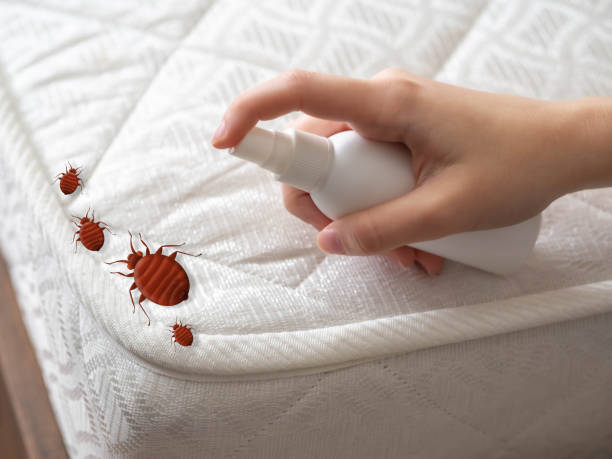 Best Pest Control Near Me  in Rural Hill, TN