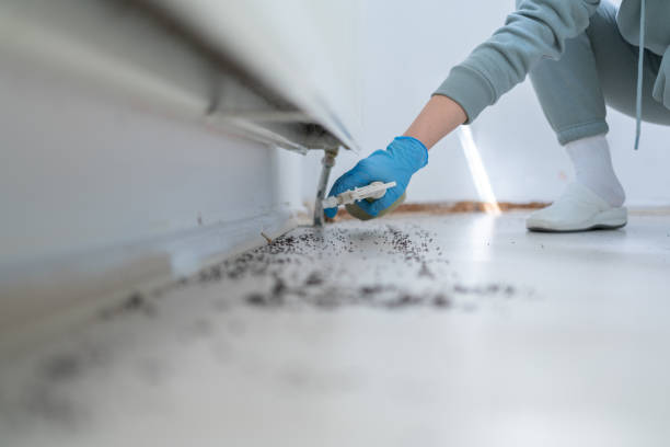 Best Residential Pest Control  in Rural Hill, TN