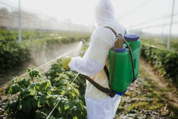 Best Bed Bug Extermination  in Rural Hill, TN